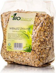 Βιοβλαστός Bio Fulgi de Secară 500gr 1buc