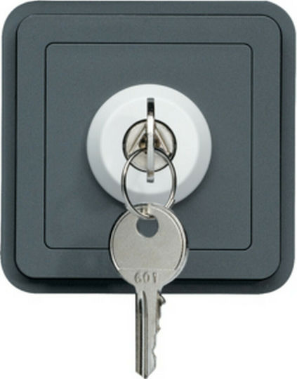 Hager Cubyko Waterproof Recessed Rotary Switch Key with Frame Gray
