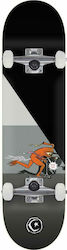 Foundation Foundation Templeton Push 8.25" Complete Shortboard Πολύχρωμο