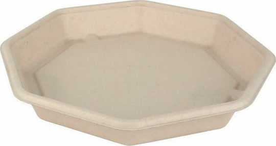 Sabert Disposable Food Sugar Cane Bowl 23x23x3cm 50pcs