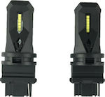 Xtec Lampen Auto LED Weiß 12V 12W 2Stück