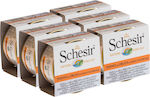 Schesir Nature for Cat Nasses Katzenfutter für Katze in Dose mit Meerbrasse und Thunfisch 6x70gr 55061206