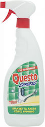 Questo Express Καθαριστικό Spray Κατά των Αλάτων 750ml