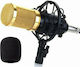 Andowl Condensator (diafragmă mare) Microfon 3.5mm Condensador Suspendat Vocal 7451