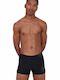 Speedo Herren Badebekleidung Shorts Schwarz