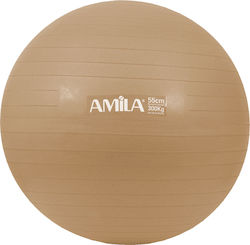 Amila Pilates Ball 55cm 1kg Gold