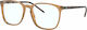 Ray Ban Κοκκάλινος Σκελετός Καφέ Ταρταρούγα RB5...
