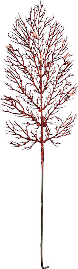 TnS Weihnachtsdekoration Blume Länge 57cm. Farn Farn