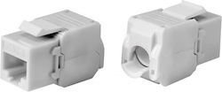 Powertech Keystone 1pcs