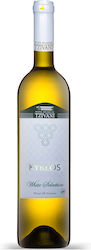 Tzivani Bio Kyklos Weiß Trocken 750ml Tzivani Bio Kyklos Weiß Trocken 750ml