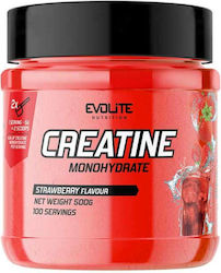 Evolite Creatine Monohydrate Strawberry 500g Evolite Creatine Monohydrate Strawberry 500g