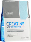 OstroVit Supreme Pure Creatine Monohydrate 500gr