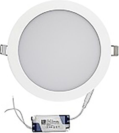 Adeleq 210181 Adeleq 210181