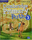 Cambridge Primary Path Level 3 Student S Book With Creative Journal