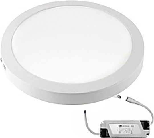 Adeleq 210253 Adeleq 210253