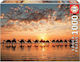 Golden Sunset on Cable Beach Puzzle 2D 1000 Pieces