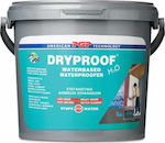 PGP Dryproof Waterbased Masonry Waterproofer Material etanș Alb