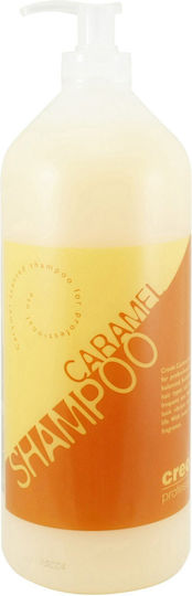 Dafnis Creole Professional Shampoos für Alle Haartypen 1000ml
