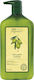 CHI Olive Organics Conditioner Γενικής Χρήσης για Όλους τους Τύπους Μαλλιών 710ml
