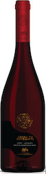 DAF Wines Άσπρη Γη Vin Alb Tip 750ml DAF Wines Άσπρη Γη Vin Alb Tip 750ml