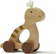 Kids Concept Push Along Rolling Dinosaur made of Wood for 12++ Months