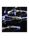 20 Lights LED 2.4m. Blue Battery in String 1pcs