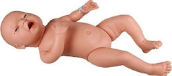 Erler Zimmer Interactive Training & CPR Medical Training Manikin