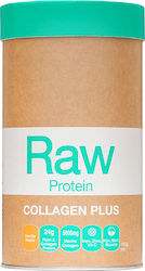 Amazonia Raw Protein Collagen Plus Gluten Free with Flavor Vanilla Maple 450gr