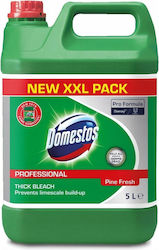 Domestos Professionell Bleichgel mit Duft Kiefer frisch 5lt