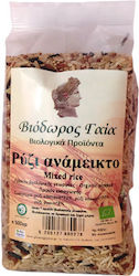 Viodoros Gaia Organic Rice Mix 500gr