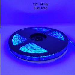 LED Streifen Versorgung 12V mit Blau Licht Länge 5m und 30 LED pro Meter