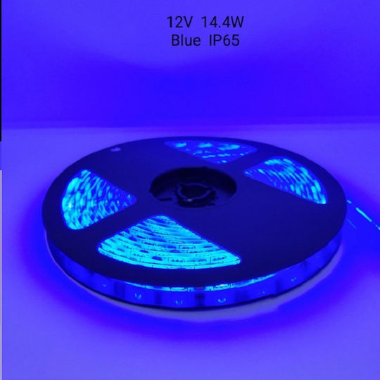 Αδιάβροχη Ταινία LED 12V Μπλε Φως 5m