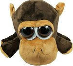 Monkey Plush Bear Monkey