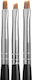 Magnetic Nail Design Brush Set For One Stroke Nail Art 3pcs Set Nail Brushes Nail Art / Gel