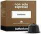 IL Caffe Italiano Capsules Espresso Ginseng Compatible with Machine Dolce Gusto 16caps,tobolek