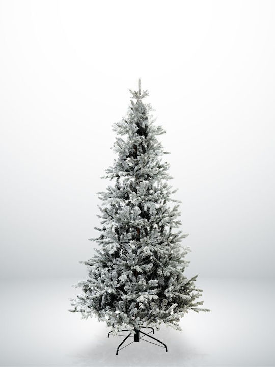 Christmas Tree Psiloritis Snowy 210cm with 749 Branches