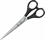 Kiepe Plastic Handle 2117 Hair Cutting Trimming Scissor 6"