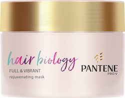 Pantene Pro V Hair Biology Μάσκα Μαλλιών 160ml Pantene Pro V Hair Biology Μάσκα Μαλλιών 160ml