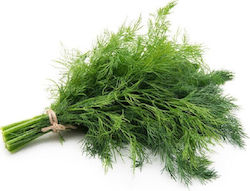 Dill seed 150gr - Very aromatic