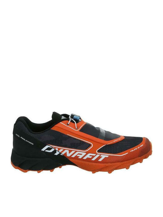 Dynafit sale up pro