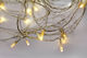 100 Λαμπάκια LED 5μ Θερμό Λευκό σε Σειρά με Διαφανές Καλώδιο και Προγράμματα Adeleq