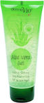 Derma V10 Aloe Vera Gel Moisturizing Gel Restoring with Aloe Vera 100ml