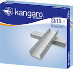 Kangaro Staples 23/10 1000pcs 136231000