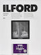 Ilford MG RC DL 44M 18x24 Darkroom Paper