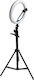 Ringlicht LED USB Stativ 2,2m Ringlicht 26cm 2500 - 4500K mit Bodenstativ und Handyhalter