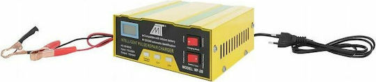 Malatec Încărcător Baterie Auto 12/24V 12/24V