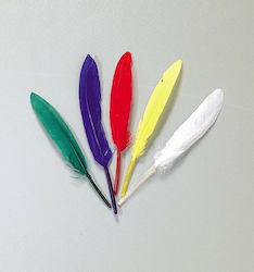 Next Craft Feathers Set of 72pcs