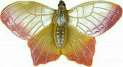 Import Hellas Butterfly 26120 Kids Knob Furniture made of Plastic in Orange Color 60mm 26120 1pcs