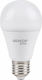 Evivak LED Bulb 10W for Socket E27 and Shape A60 Cool White 800lm
