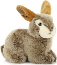 Semo Plush Bunny 20 cm.